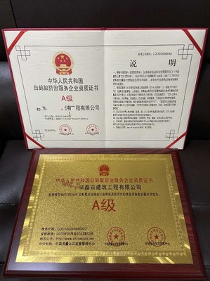 白蟻防治A級資質認證 全國通行，守護您的財產安全